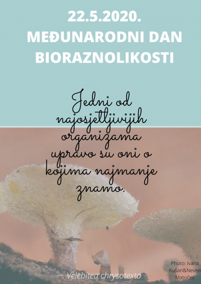 Malo o gljivama za Međunarodni dan bioraznolikosti 22.5.2020.
